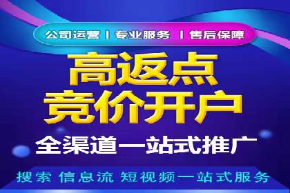 竞价账户优化：成功企业的广告策略揭秘